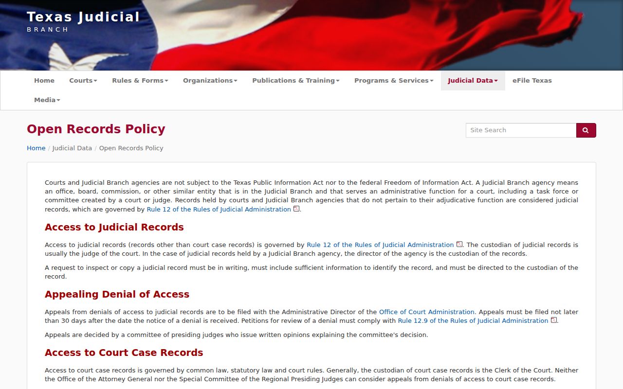 Texas OCA page distinguishing judicial records from court case records